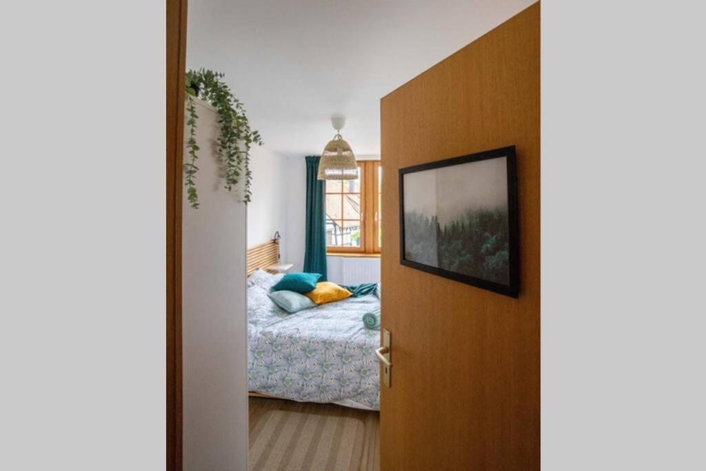 Charming Apartment Basel Border - 3 Bedrooms Hegenheim Zewnętrze zdjęcie
