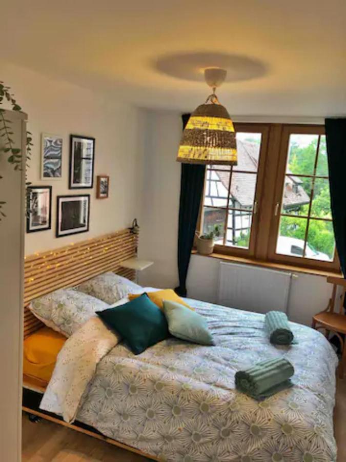 Charming Apartment Basel Border - 3 Bedrooms Hegenheim Zewnętrze zdjęcie